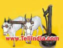 Teli Sahu Caste